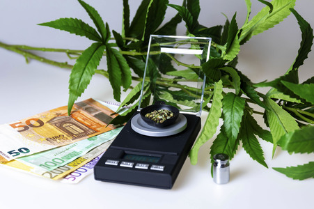 13.03.2024<br>Symbolfoto Cannabis-Legalisierung