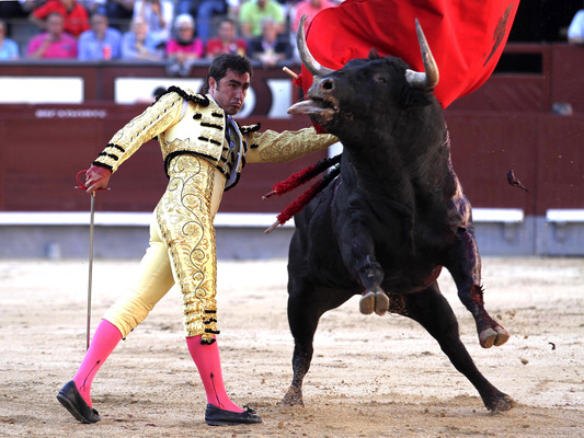 San Isidro Bullfight Fair, Madrid