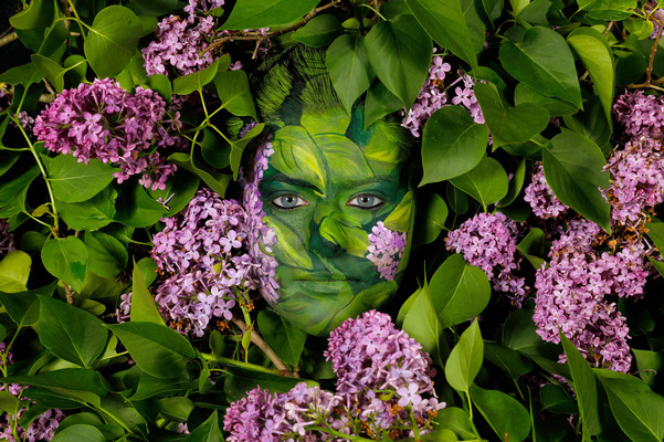NATURE ART: Flieder / Lilac Bodypainting