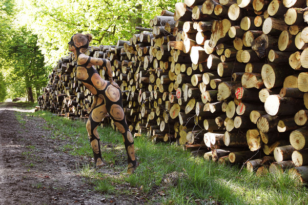 NATURE ART: Holzstoß / Woodpile Body Painting