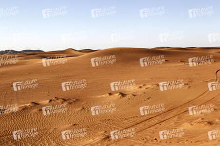 Desert Safari, Dubai