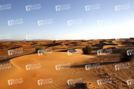 Desert Safari, Dubai