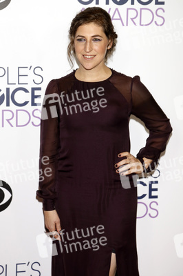 People's Choice Awards 2016 in Los Angeles