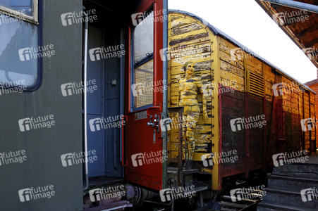 DOOR ART: Waggontür / Railway Wagon Door Bodypainting