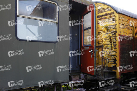 DOOR ART: Waggontür / Railway Wagon Door Bodypainting