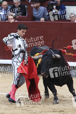 Goyesca Stierkamp in Madrid