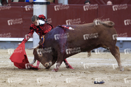 Goyesca Stierkamp in Madrid