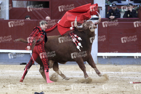 Goyesca Stierkamp in Madrid