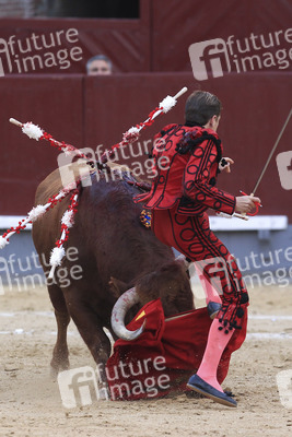 Goyesca Stierkamp in Madrid