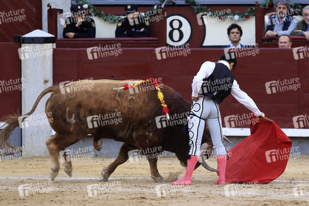 Goyesca Stierkamp in Madrid