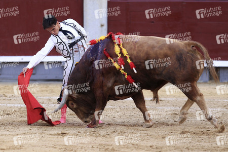 Goyesca Stierkamp in Madrid