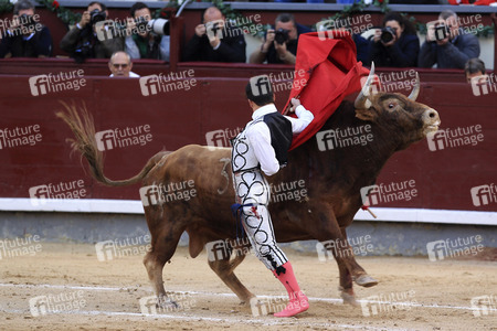 Goyesca Stierkamp in Madrid