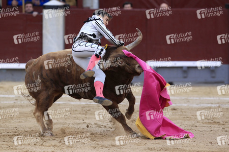 Goyesca Stierkamp in Madrid