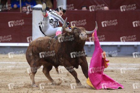 Goyesca Stierkamp in Madrid