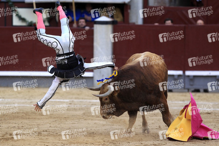 Goyesca Stierkamp in Madrid