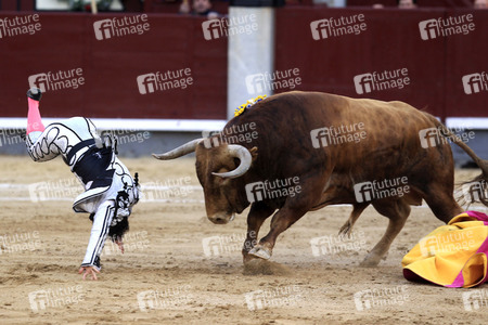 Goyesca Stierkamp in Madrid