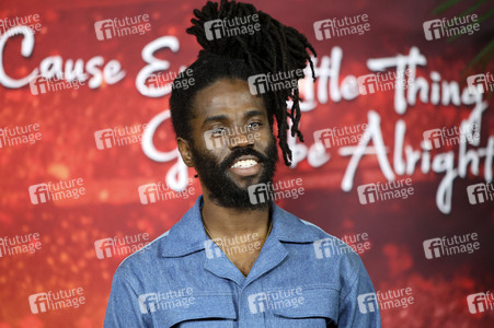 Filmpremiere 'Bob Marley: One Love' in Los Angeles