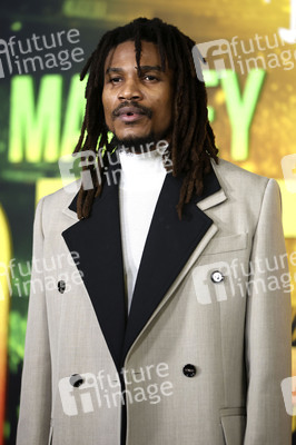 Filmpremiere 'Bob Marley: One Love' in Los Angeles