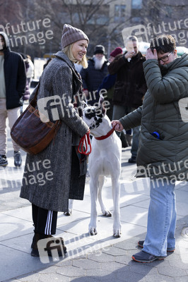 Dreharbeiten 'The Friend' in New York