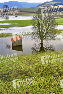 Weser-Hochwasser bei Steinmühle