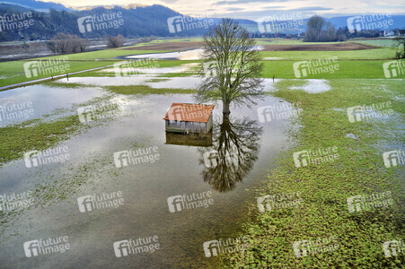 Weser-Hochwasser bei Steinmühle