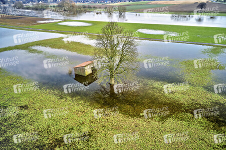 Weser-Hochwasser bei Steinmühle