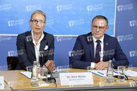 Pressekonferenz der AfD zur Europawahl in Berlin