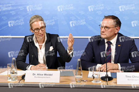 Pressekonferenz der AfD zur Europawahl in Berlin