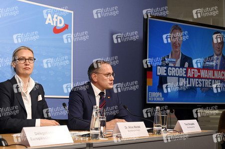 Pressekonferenz der AfD zur Europawahl in Berlin