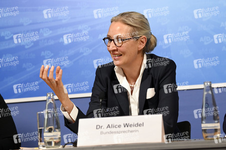 Pressekonferenz der AfD zur Europawahl in Berlin