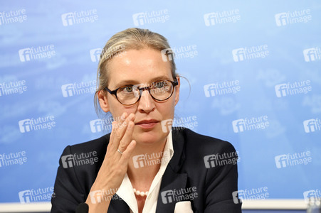 Pressekonferenz der AfD zur Europawahl in Berlin