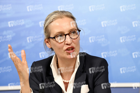 Pressekonferenz der AfD zur Europawahl in Berlin