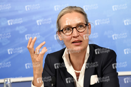 Pressekonferenz der AfD zur Europawahl in Berlin