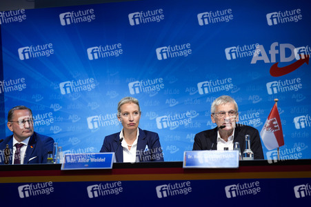 Pressekonferenz der AfD zur Landtagswahl in Brandenburg