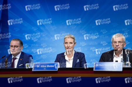 Pressekonferenz der AfD zur Landtagswahl in Brandenburg