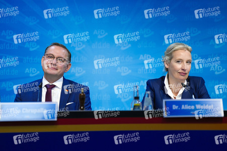 Pressekonferenz der AfD zur Landtagswahl in Brandenburg