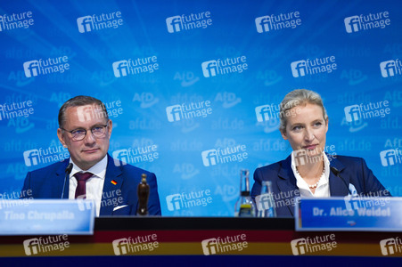 Pressekonferenz der AfD zur Landtagswahl in Brandenburg