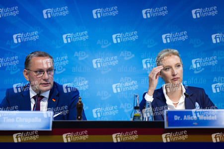 Pressekonferenz der AfD zur Landtagswahl in Brandenburg