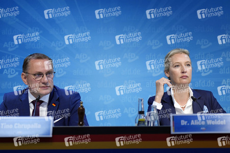 Pressekonferenz der AfD zur Landtagswahl in Brandenburg