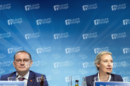 Pressekonferenz der AfD zur Landtagswahl in Brandenburg