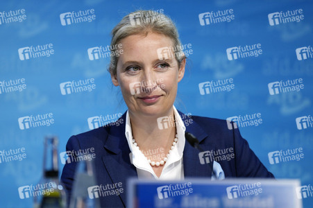 Pressekonferenz der AfD zur Landtagswahl in Brandenburg