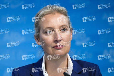 Pressekonferenz der AfD zur Landtagswahl in Brandenburg