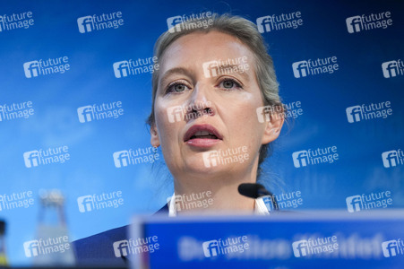 Pressekonferenz der AfD zur Landtagswahl in Brandenburg