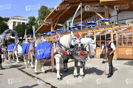 Sixt Damenwiesn beim Oktoberfest 2024 in München