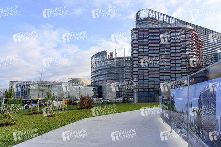 Das Europäische Parlament in Straßburg