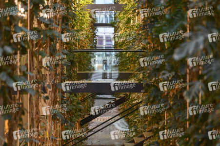 Das Europäische Parlament in Straßburg