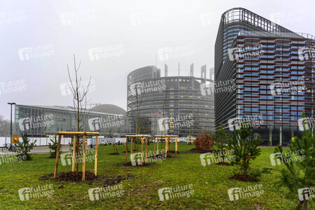 Das Europäische Parlament in Straßburg