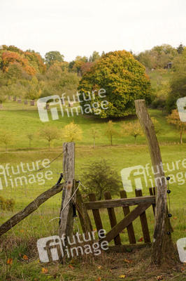 Symbolfoto Herbst