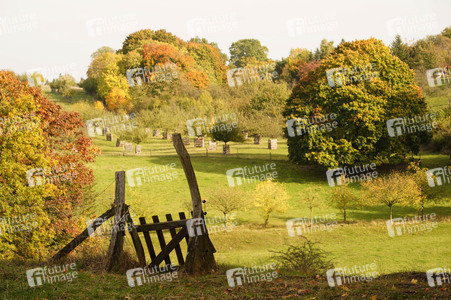 Symbolfoto Herbst