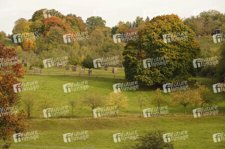 Symbolfoto Herbst